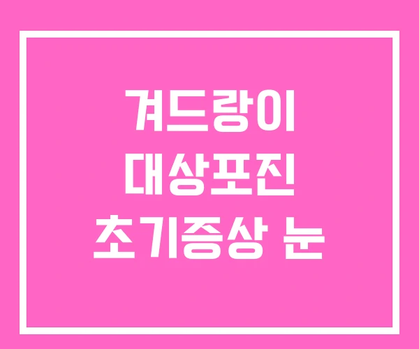 겨드랑이 대상포진 초기증상 눈