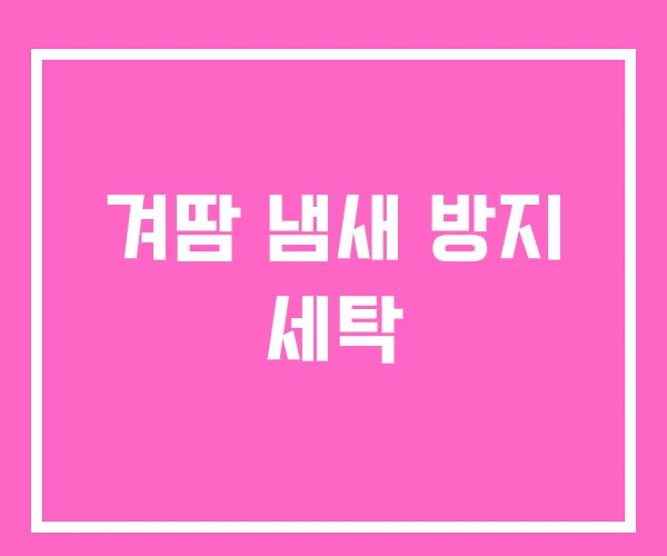 겨땀 냄새 방지 세탁