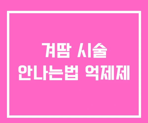 겨땀 시술 안나는법 억제제 겨땀 시술 안나는법 억제제