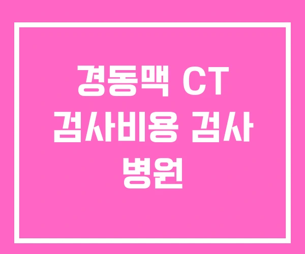 경동맥 CT 검사비용 검사 병원 경동맥 CT 검사비용 검사 병원