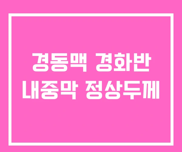 경동맥 경화반 내중막 정상두께