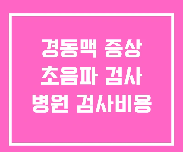 경동맥 증상 초음파 검사 병원 검사비용