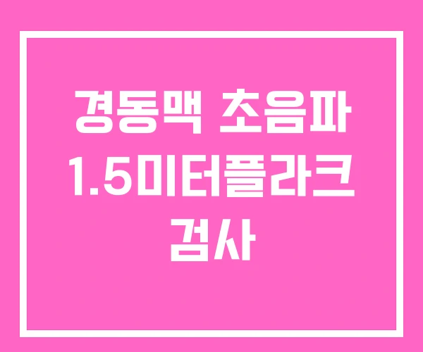 경동맥 초음파 1.5미터플라크 검사