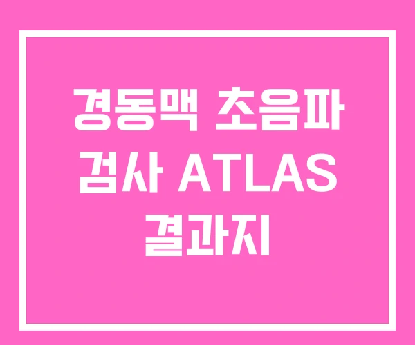 경동맥 초음파 검사 ATLAS 결과지 경동맥 초음파 검사 ATLAS 결과지