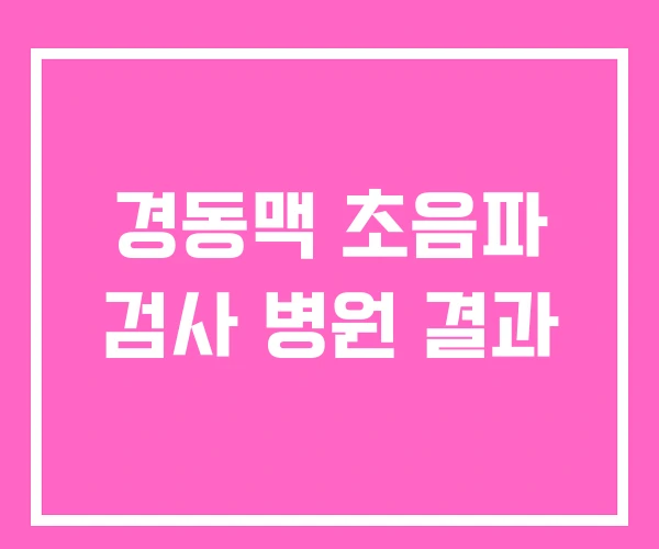 경동맥 초음파 검사 병원 결과