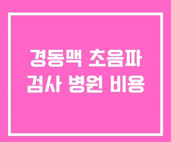 경동맥 초음파 검사 병원 비용 경동맥 초음파 검사 병원 비용
