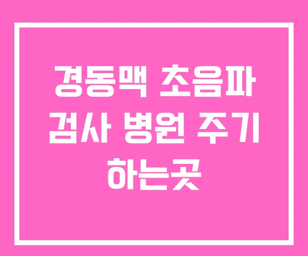경동맥 초음파 검사 병원 주기 하는곳