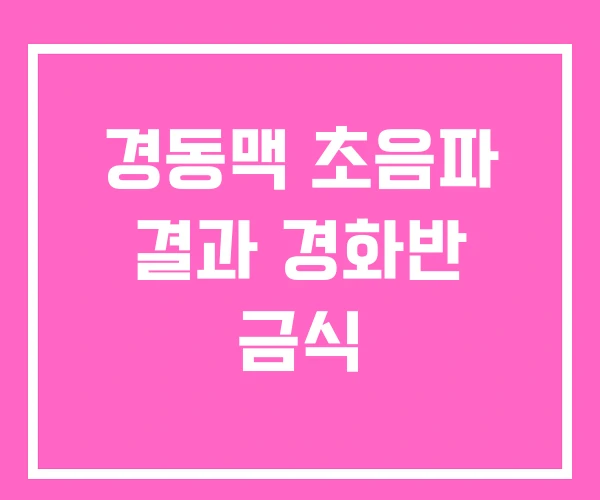 경동맥 초음파 결과 경화반 금식