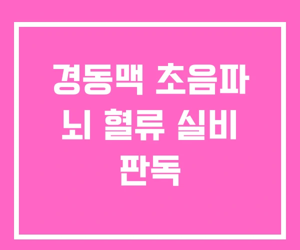 경동맥 초음파 뇌 혈류 실비 판독