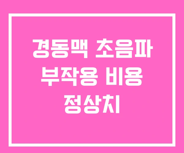 경동맥 초음파 부작용 비용 정상치 경동맥 초음파 부작용 비용 정상치