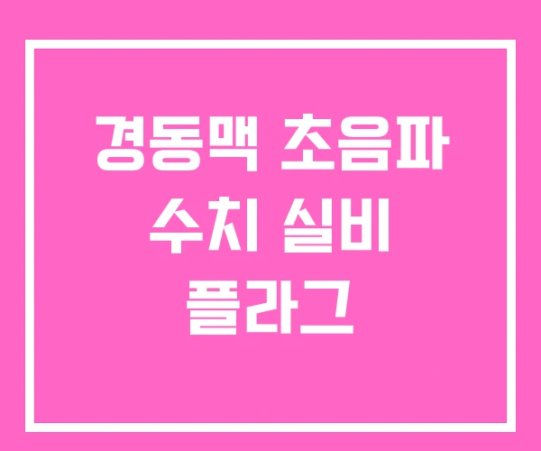 경동맥 초음파 수치 실비 플라그 경동맥 초음파 수치 실비 플라그