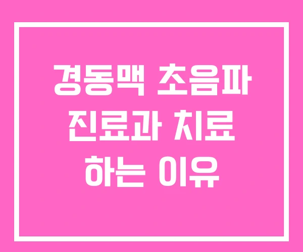 경동맥 초음파 진료과 치료 하는 이유
