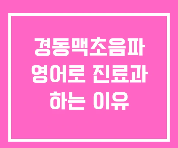 경동맥초음파 영어로 진료과 하는 이유 경동맥초음파 영어로 진료과 하는 이유