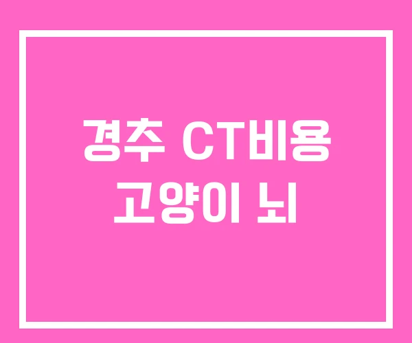 경추 CT비용 고양이 뇌 경추 CT비용 고양이 뇌