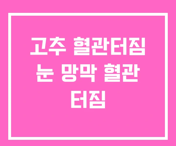 고추 혈관터짐 눈 망막 혈관 터짐 고추 혈관터짐 눈 망막 혈관 터짐