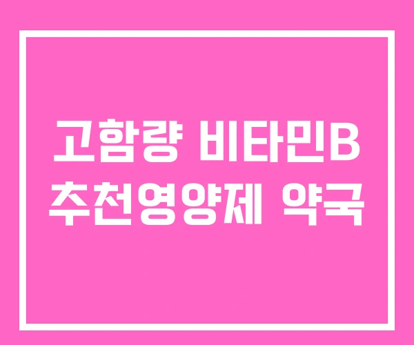 고함량 비타민B 추천영양제 약국