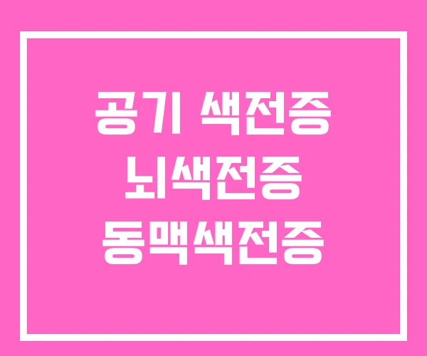 공기 색전증 뇌색전증 동맥색전증 공기 색전증 뇌색전증 동맥색전증