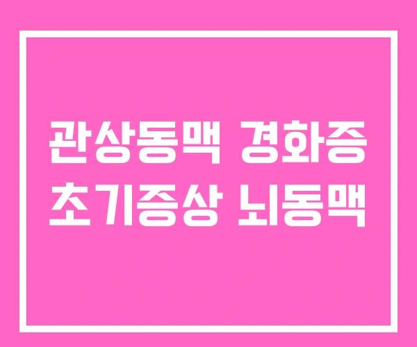 관상동맥 경화증 초기증상 뇌동맥