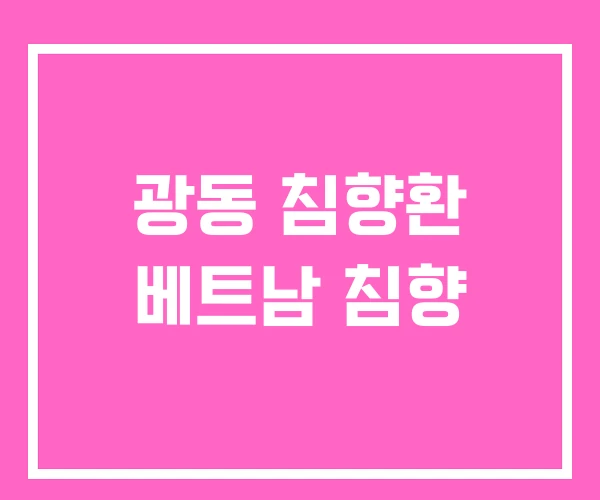 광동 침향환 베트남 침향