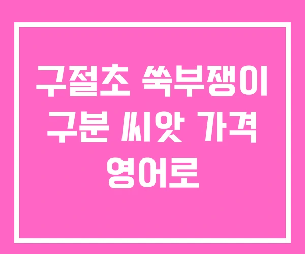 구절초 쑥부쟁이 구분 씨앗 가격 영어로