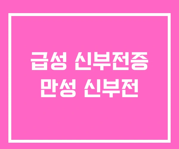 급성 신부전증 만성 신부전 급성 신부전증 만성 신부전