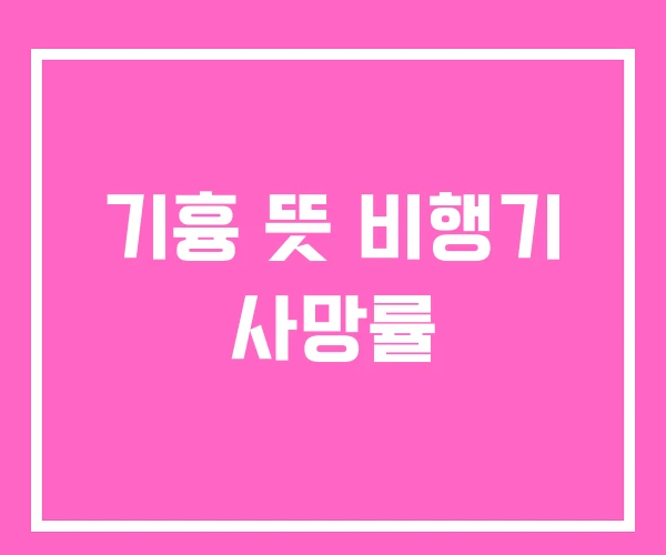 기흉 뜻 비행기 사망률