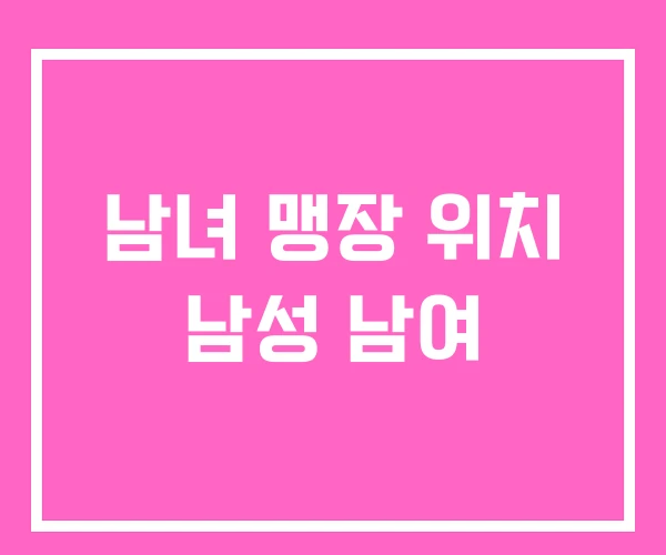 남녀 맹장 위치 남성 남여 남녀 맹장 위치 남성 남여