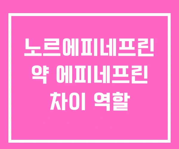 노르에피네프린 약 에피네프린 차이 역할 노르에피네프린 약 에피네프린 차이 역할