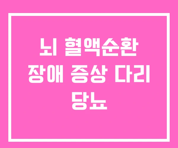 뇌 혈액순환 장애 증상 다리 당뇨