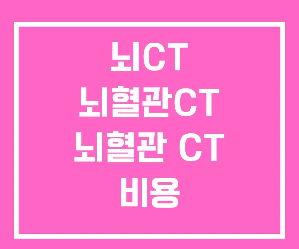 뇌CT 뇌혈관CT 뇌혈관 CT 비용