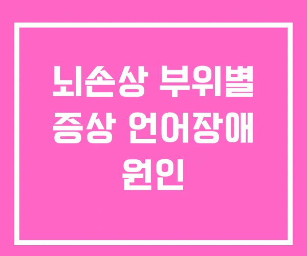 뇌손상 부위별 증상 언어장애 원인 뇌손상 부위별 증상 언어장애 원인