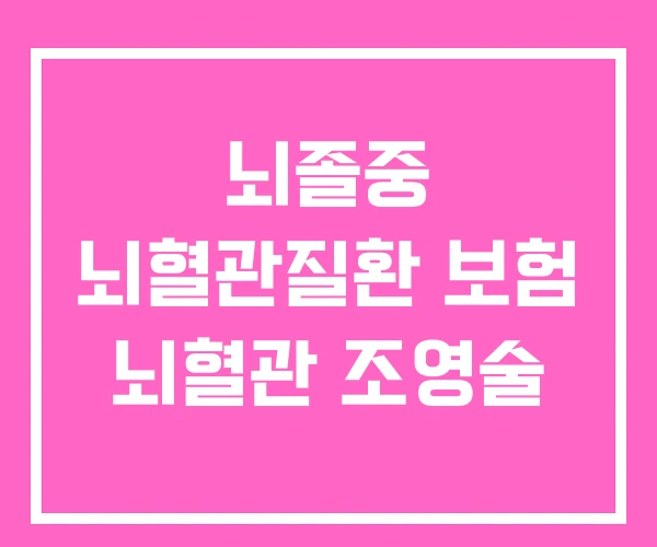 뇌졸중 뇌혈관질환 보험 뇌혈관 조영술