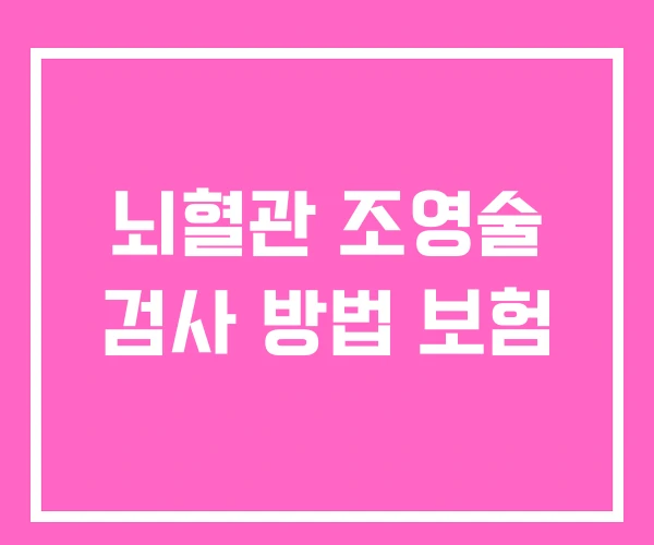 뇌혈관 조영술 검사 방법 보험 뇌혈관 조영술 검사 방법 보험