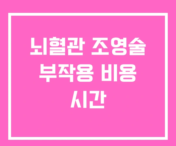뇌혈관 조영술 부작용 비용 시간 뇌혈관 조영술 부작용 비용 시간