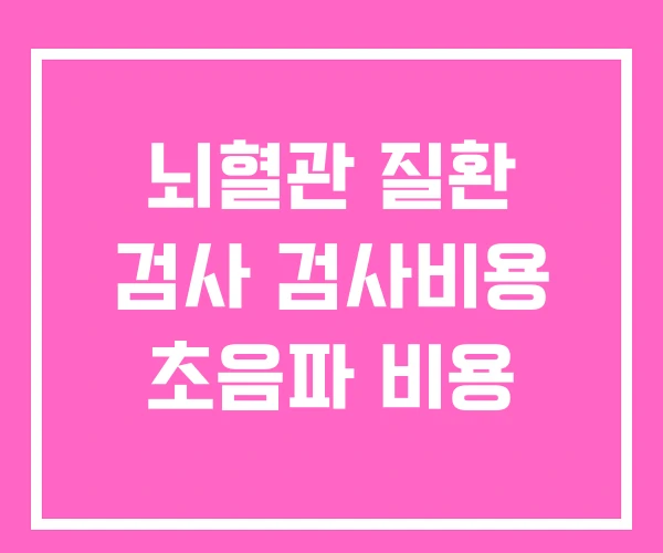 뇌혈관 질환 검사 검사비용 초음파 비용