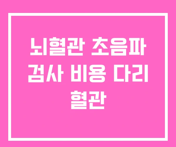 뇌혈관 초음파 검사 비용 다리 혈관