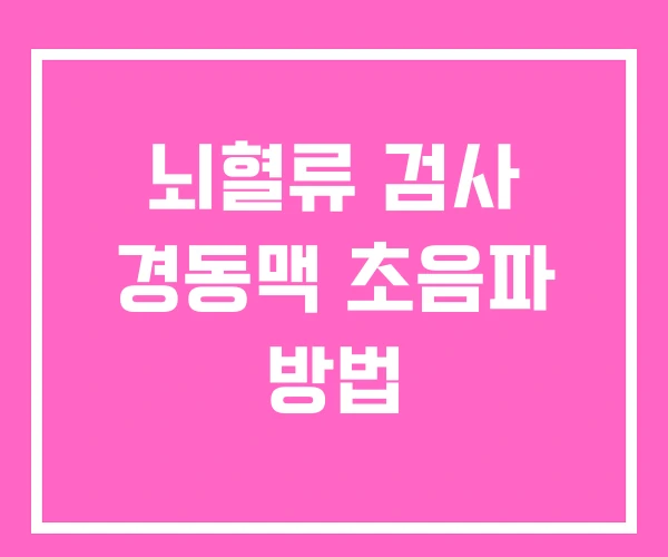 뇌혈류 검사 경동맥 초음파 방법 뇌혈류 검사 경동맥 초음파 방법