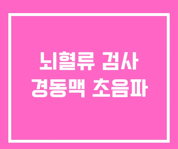 뇌혈류 검사 경동맥 초음파