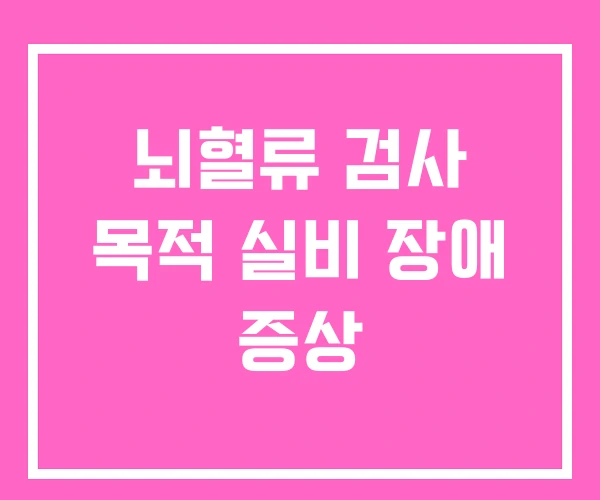 뇌혈류 검사 목적 실비 장애 증상