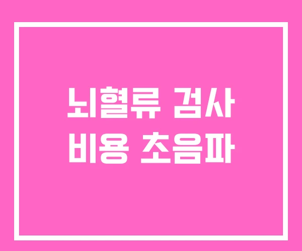 뇌혈류 검사 비용 초음파