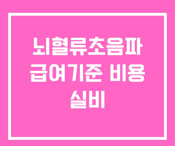 뇌혈류초음파 급여기준 비용 실비 뇌혈류초음파 급여기준 비용 실비