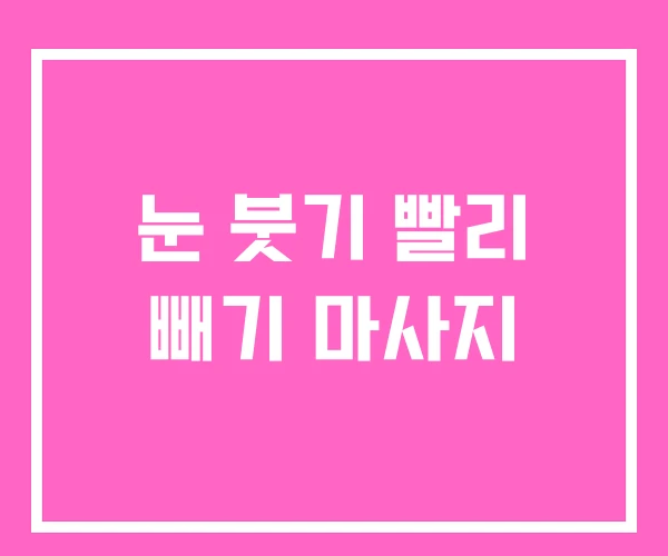 눈 붓기 빨리 빼기 마사지 눈 붓기 빨리 빼기 마사지