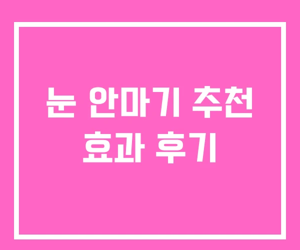 눈 안마기 추천 효과 후기 눈 안마기 추천 효과 후기