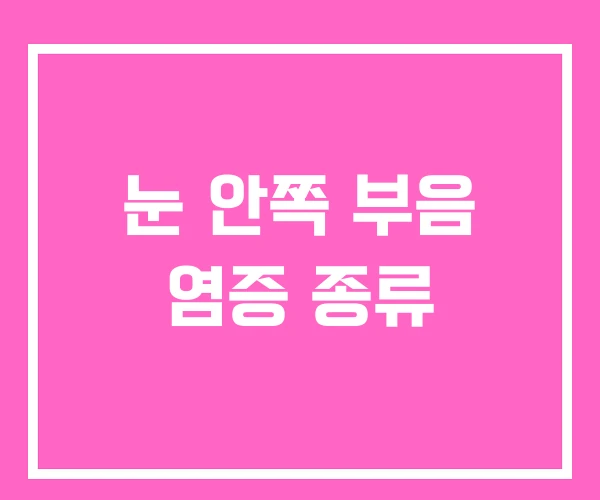눈 안쪽 부음 염증 종류 눈 안쪽 부음 염증 종류