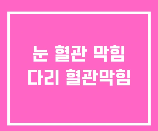 눈 혈관 막힘 다리 혈관막힘