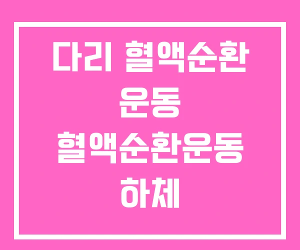 다리 혈액순환 운동 혈액순환운동 하체