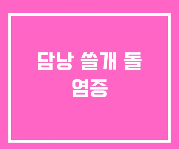 담낭 쓸개 돌 염증