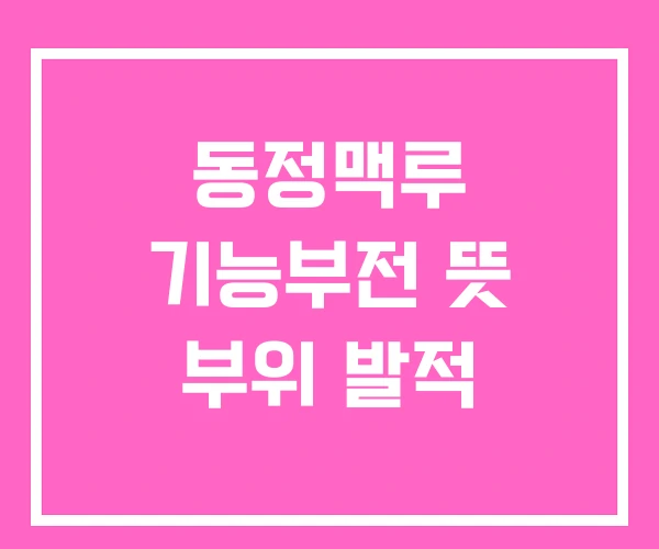 동정맥루 기능부전 뜻 부위 발적
