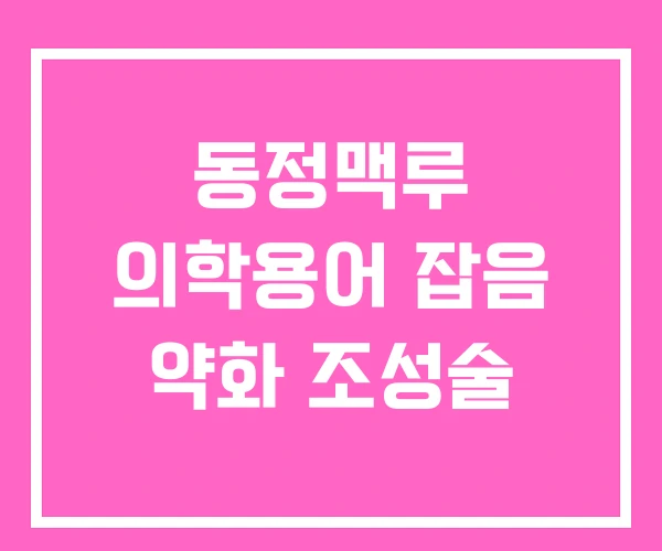 동정맥루 의학용어 잡음 약화 조성술