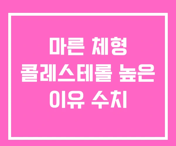 마른 체형 콜레스테롤 높은 이유 수치